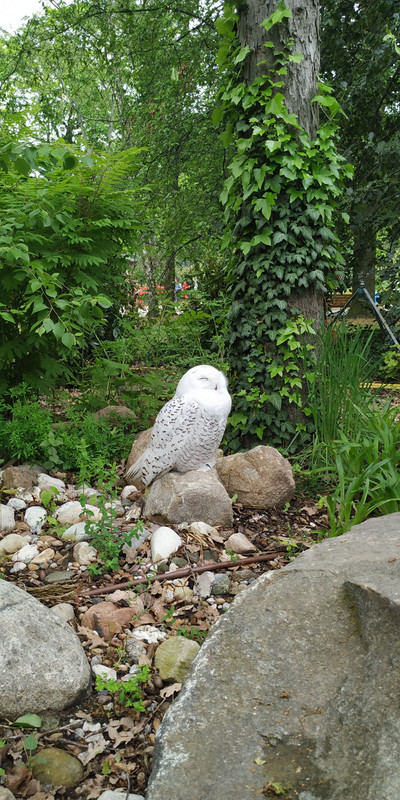 IMG_20190509_121124[1]