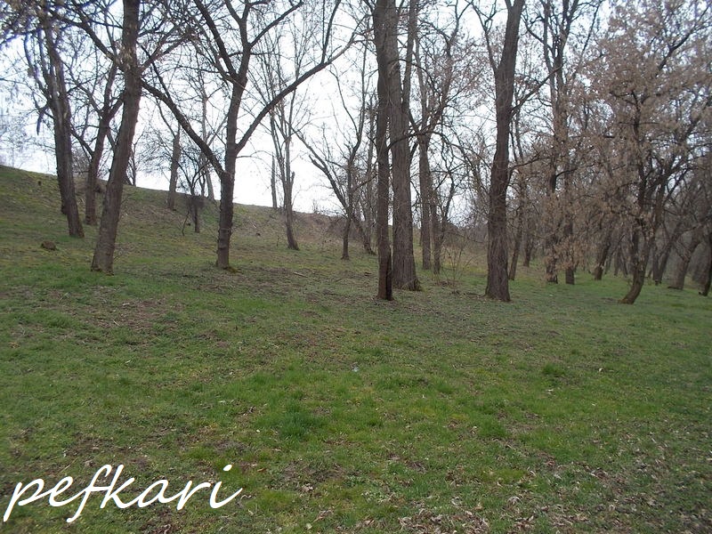 Slika