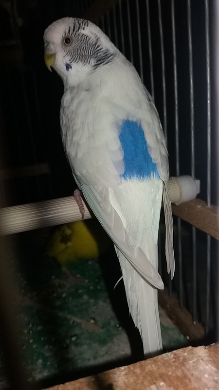 20180725_230340