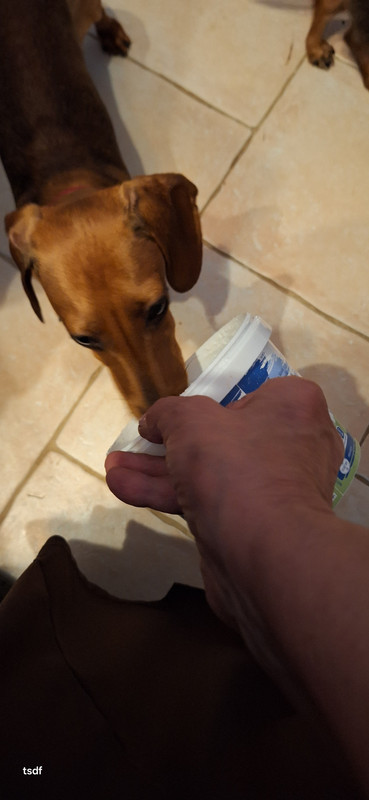 [Image: 20250516-211406.jpg]