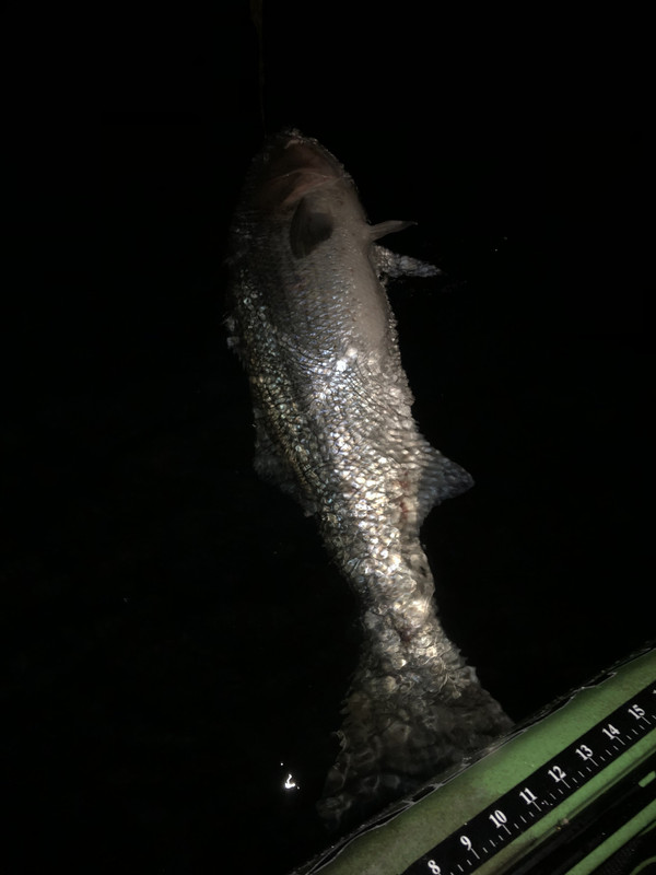 270380BA-FA2E-4E7A-9CFD-1E2C89F0FB1A