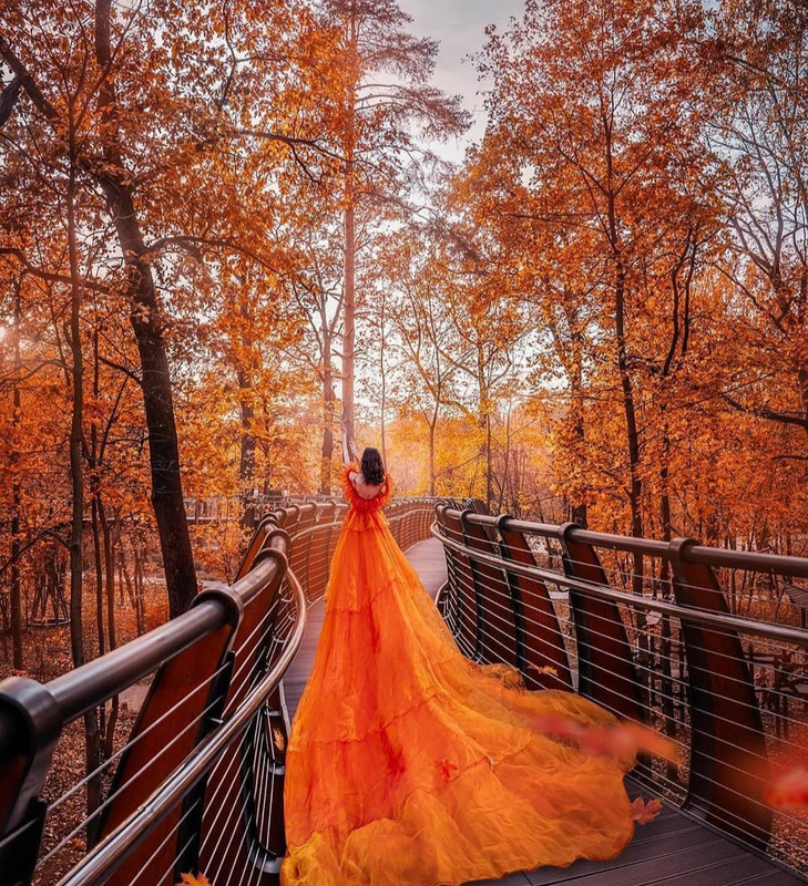 Screenshot_20231207_154041_Instagram