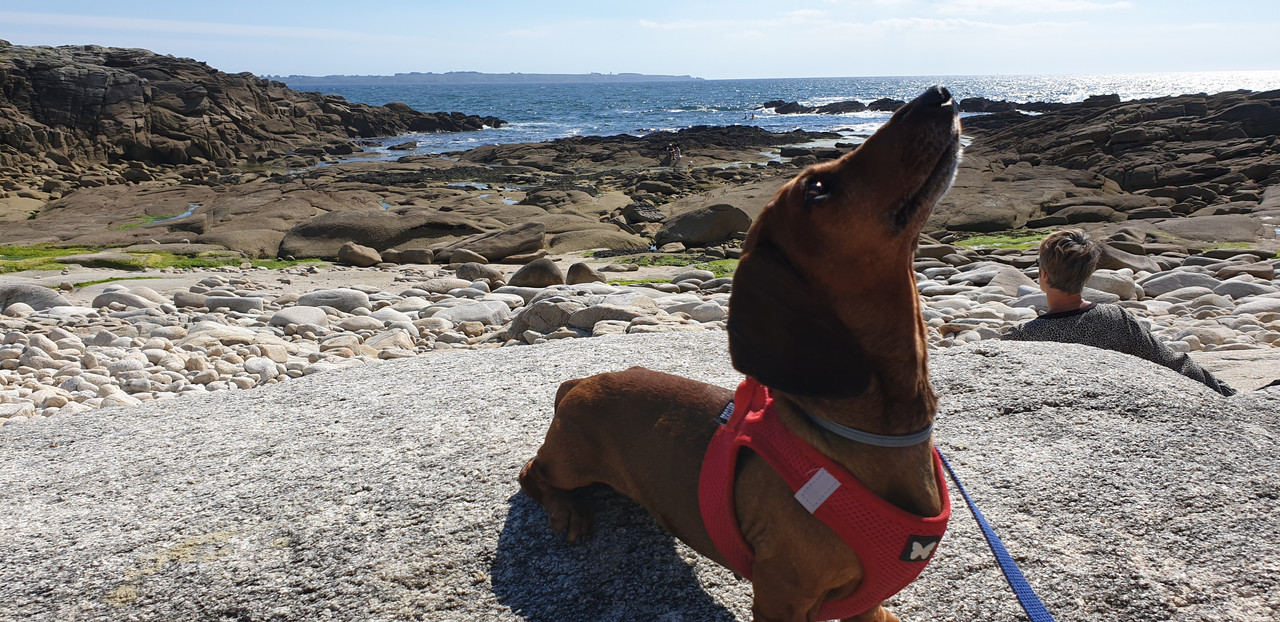 [Image: 20200710-171811.jpg]