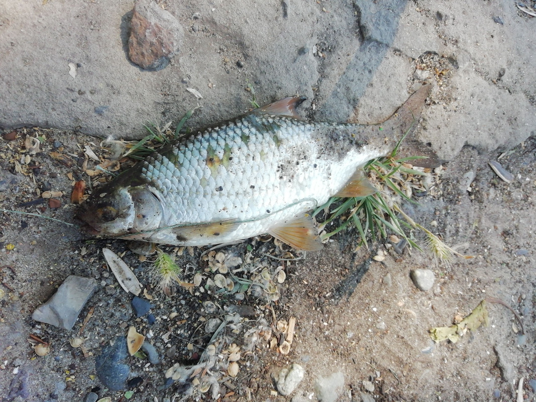 Изображение 1370