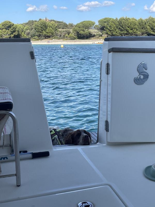 27B03105-F9FD-4252-88C8-5253C4B14859