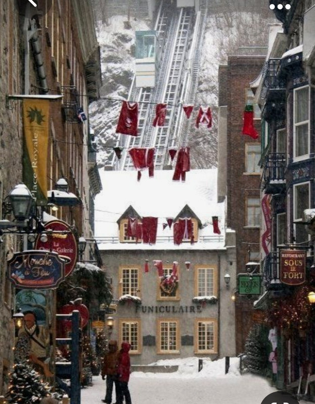 Screenshot_20231023_200852_Pinterest