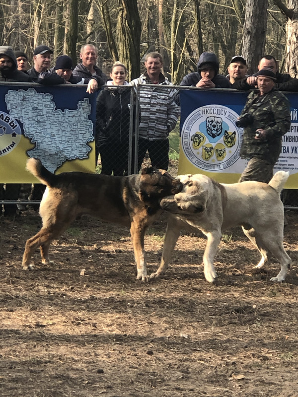 18E3BA2A-60DC-4A55-BB87-5E970D8168E9