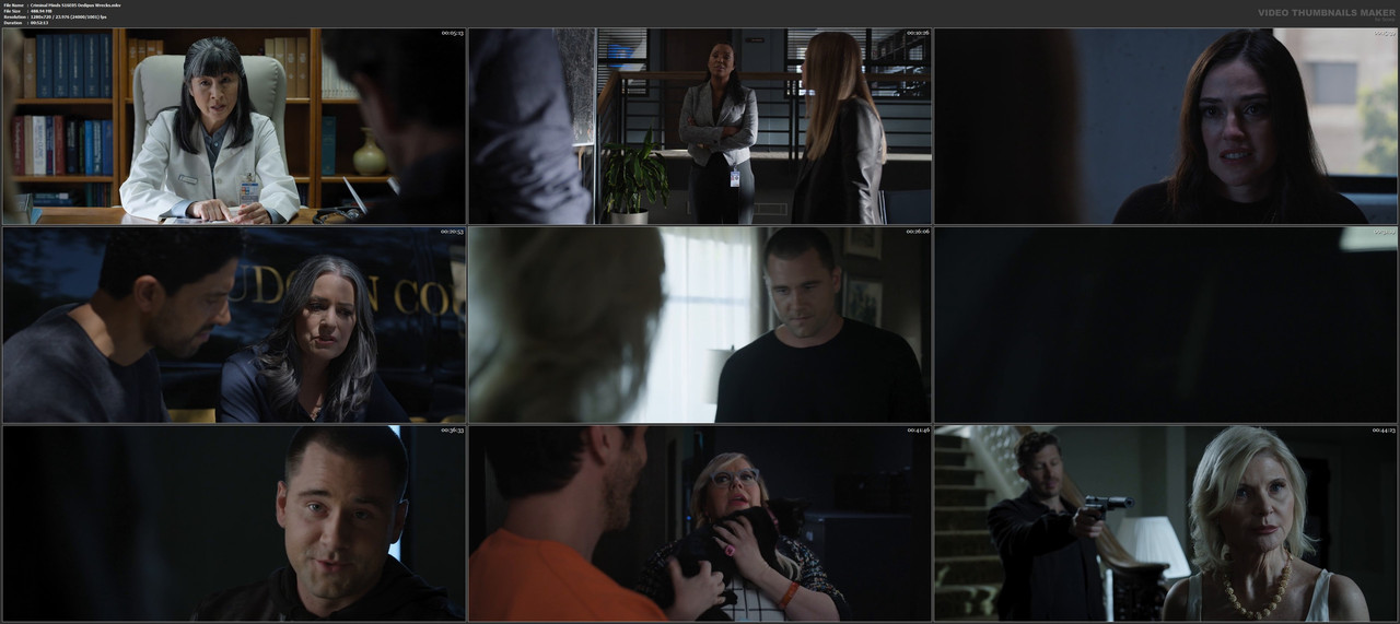 Criminal Minds S16E05 Oedipus Wrecks.mkv