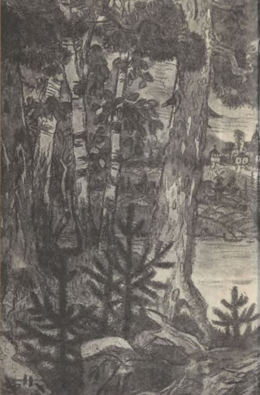 p0029