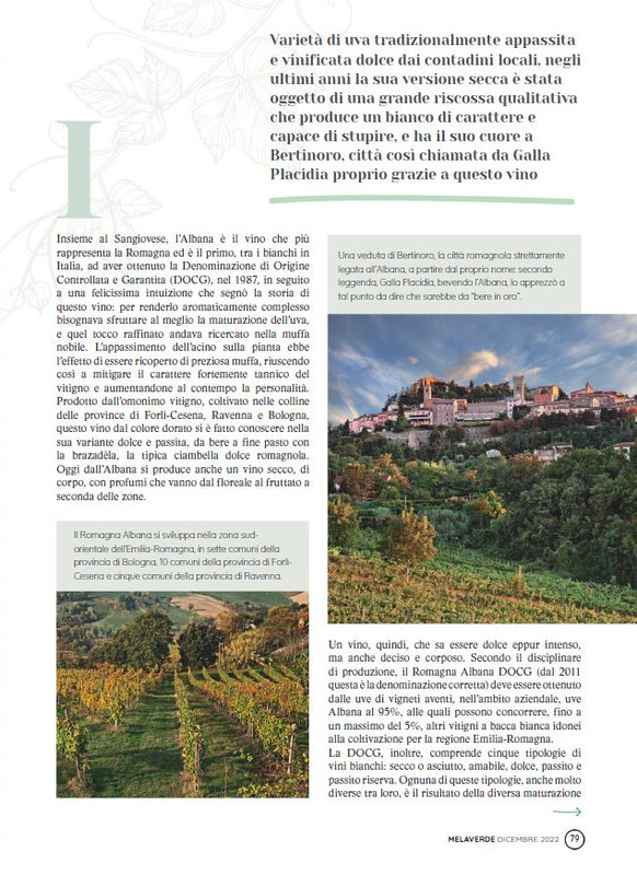 melaverde Dic 2022 (2)