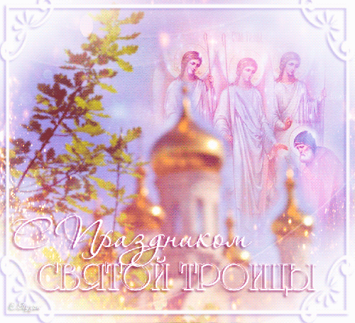 image.gif