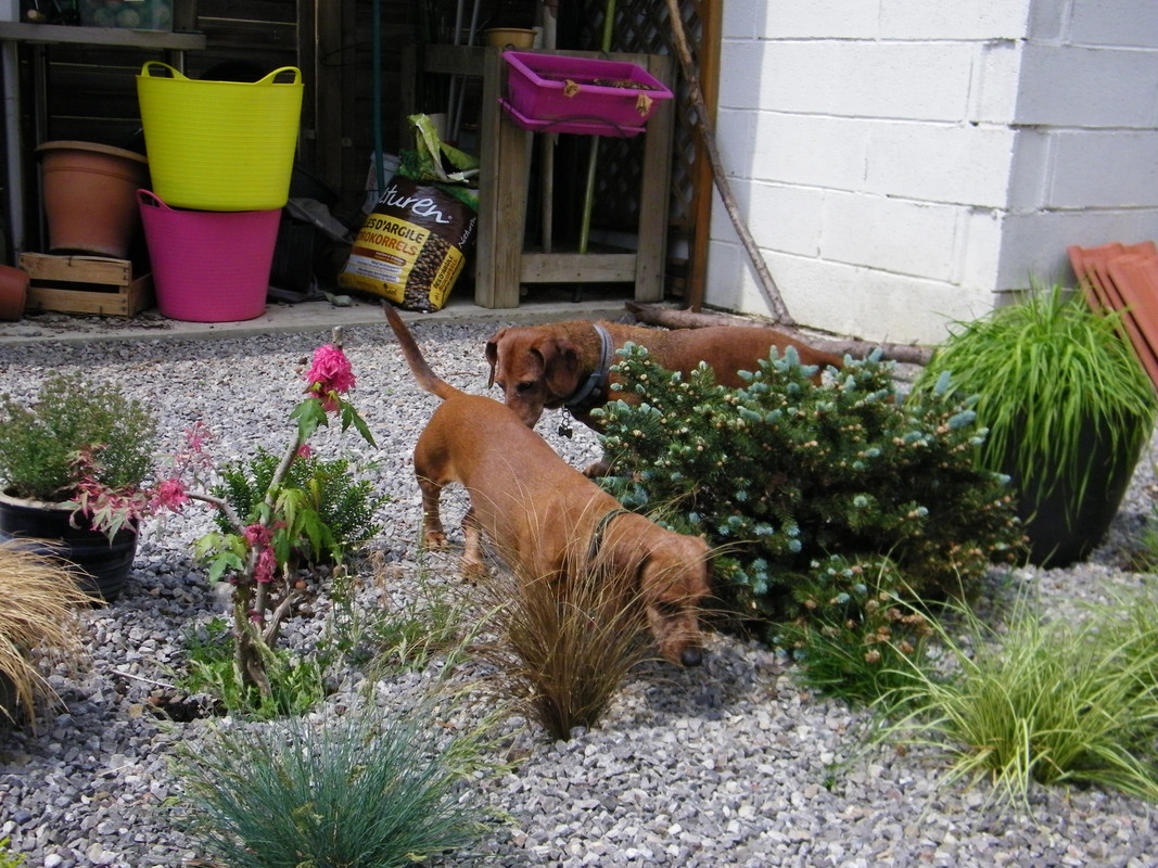 [Image: 201-2881.jpg]