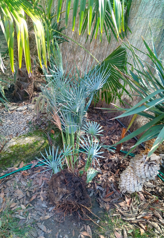 IMG 20260309 124422 054841 edit 843907635013541