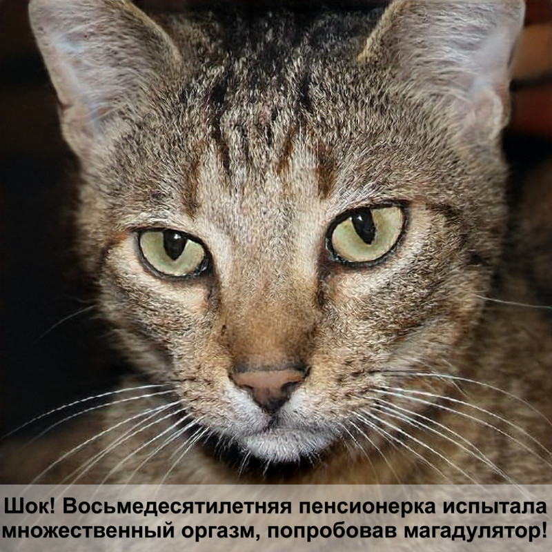 богиня с головой кошки