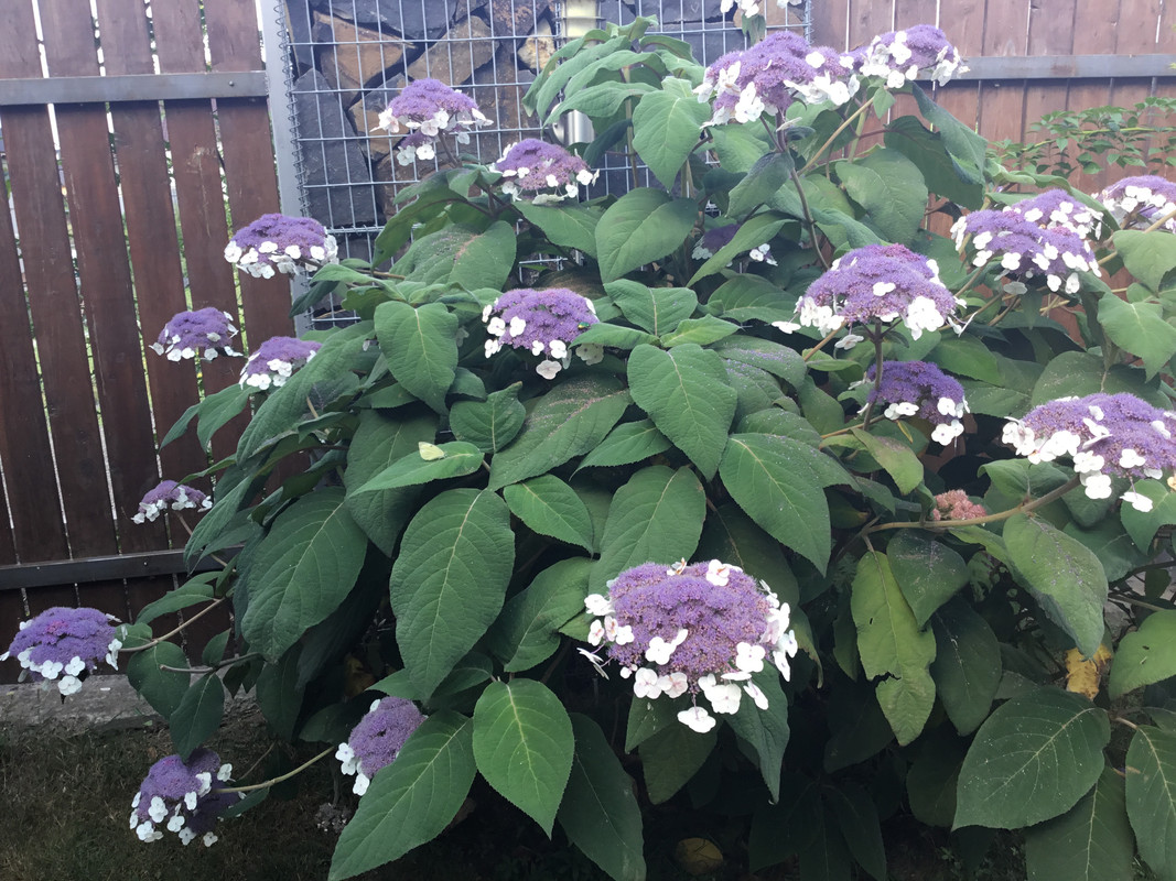 5B25B088-627B-4EBA-955E-096E71A13CD3