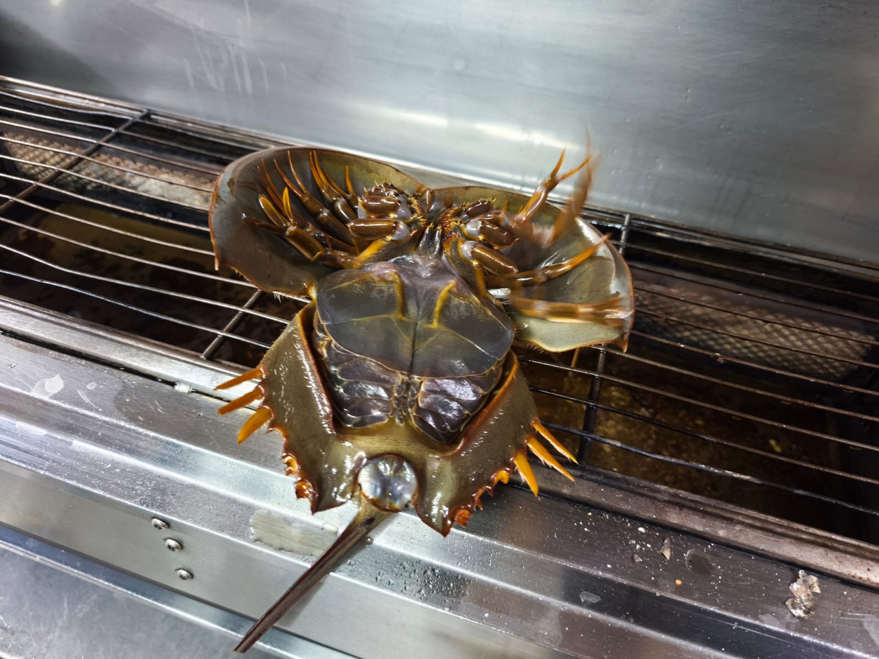 4e54e18a 3f43 4158 9c9d 3c0b4585d133