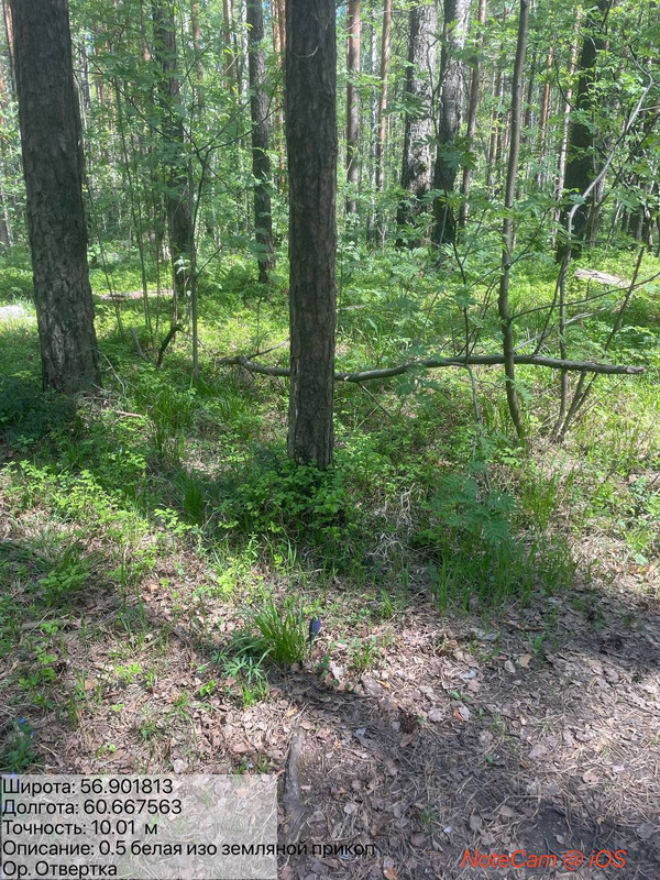 photo 27 2026 05 18 22 34 27