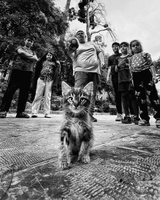 Kitty-Gangleader-Photographer-Akbar-Mehrinezhadpatiently-walks-the-streets-of-his-city-photographing-s.jpg