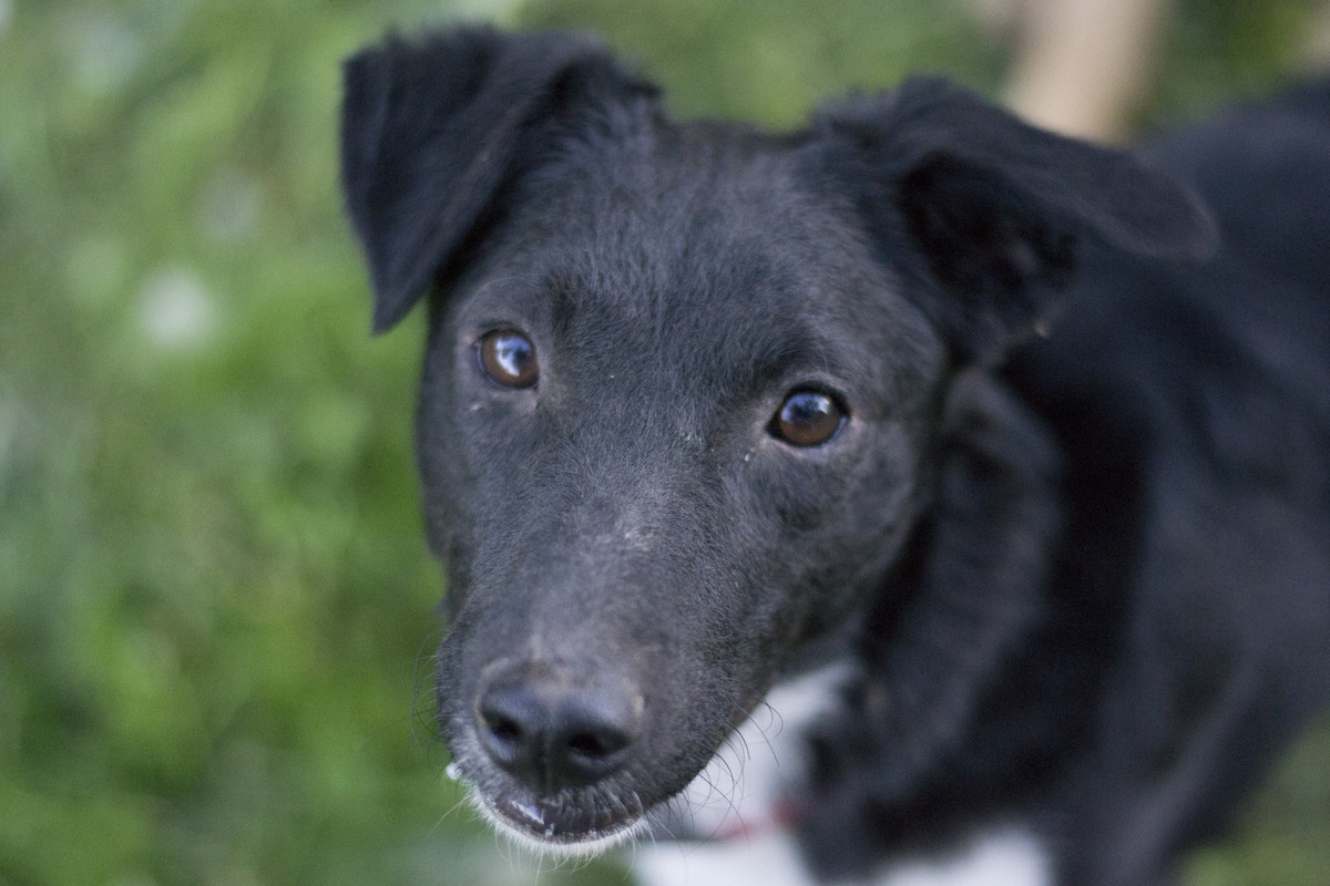 Дакота_06_18_22