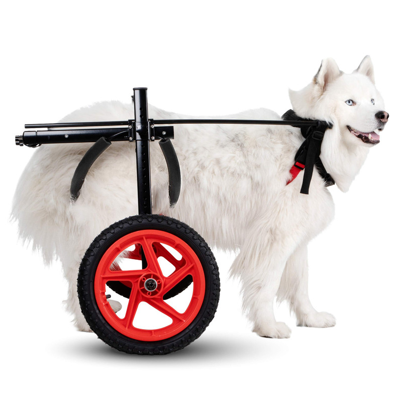 Best Friend Mobility PRO Dog Wheelchair Medium-XL