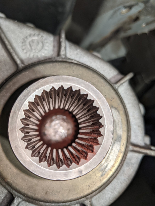 PXL_20220620_132449268 (1)