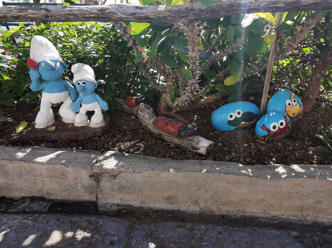 IMG_20240103_123452_edit_88451438952648