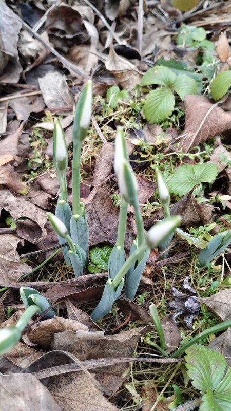 изображение_viber_2025-01-30_14-41-44-205