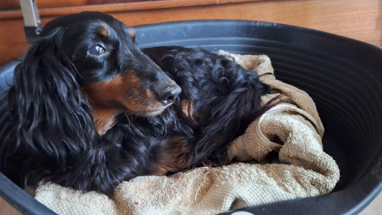 [Image: 20250818-094914.jpg]