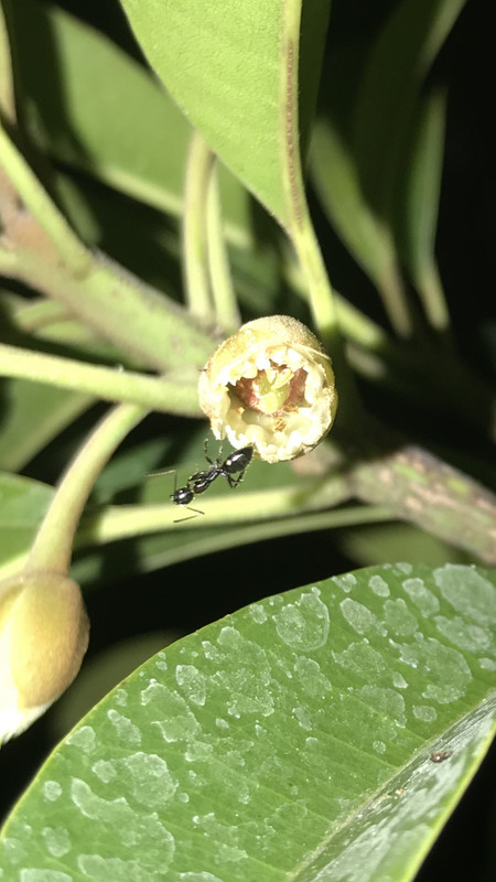 3C9D3535-D82E-4EE7-9560-3C555F63FC7A