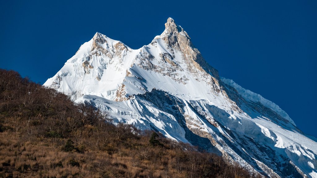https://i.postimg.cc/nhWj7xDS/Image00474.jpg