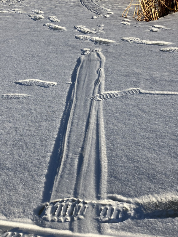 4B37C663-71B8-4DD7-BF90-8D06D7CF52A7