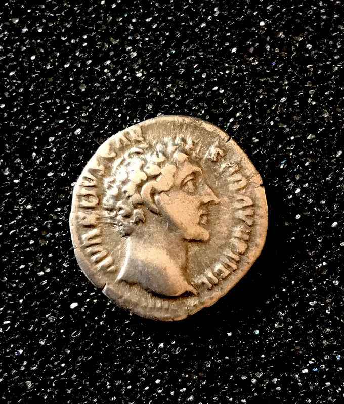 A14696E4-A565-4FC5-9DEB-8FE854F8695D