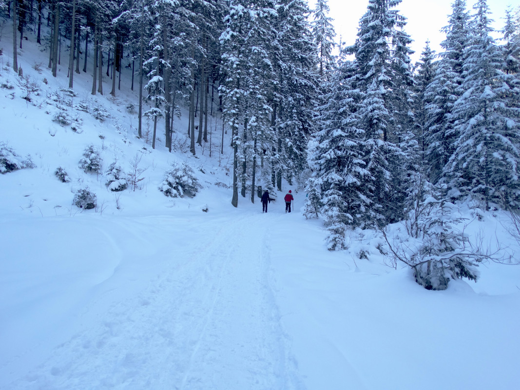 05.14 - DSC06262 (Czesio1)