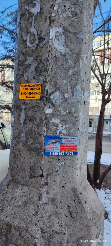 Славик ищет женщину