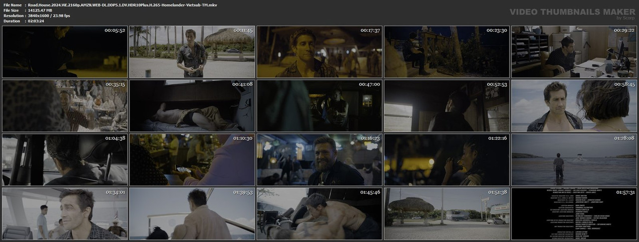 Road.House.2024.ViE.2160p.AMZN.WEB-DL.DDP5.1.DV.HDR10Plus.H.265-Homelander-Vietsub-TM.mkv
