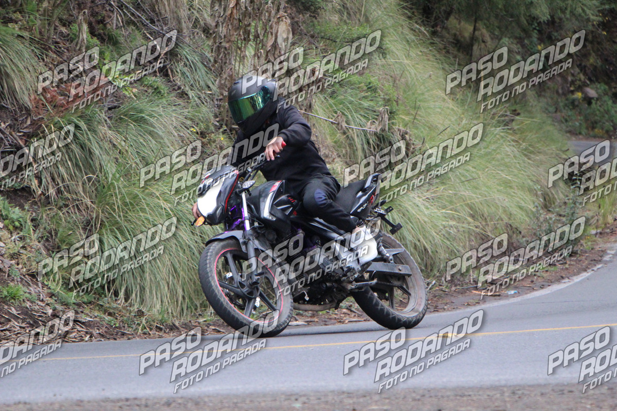 IMG 0487 wm 3693633 7 watermarked — Postimages