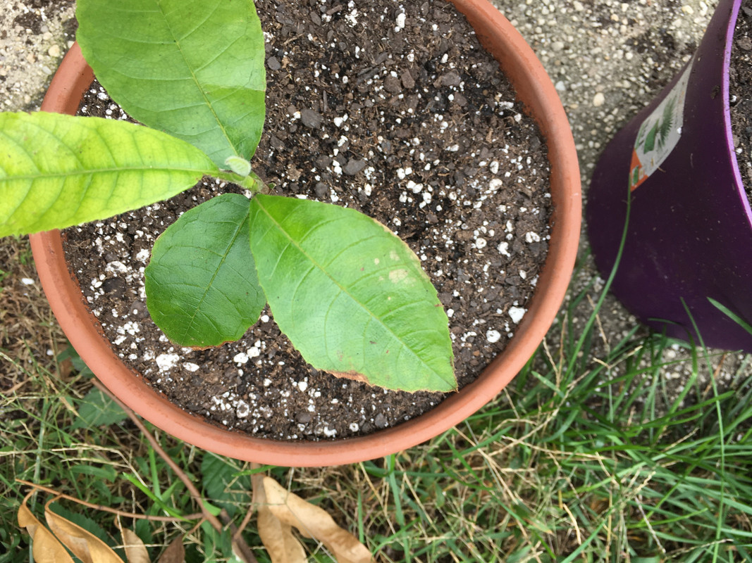 DC588953-63AA-47D5-818A-DBB283AB4F8B