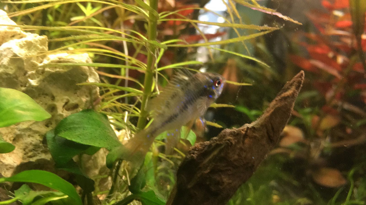 WhatsApp Image 2018-06-21 at 15.33.49 (1)