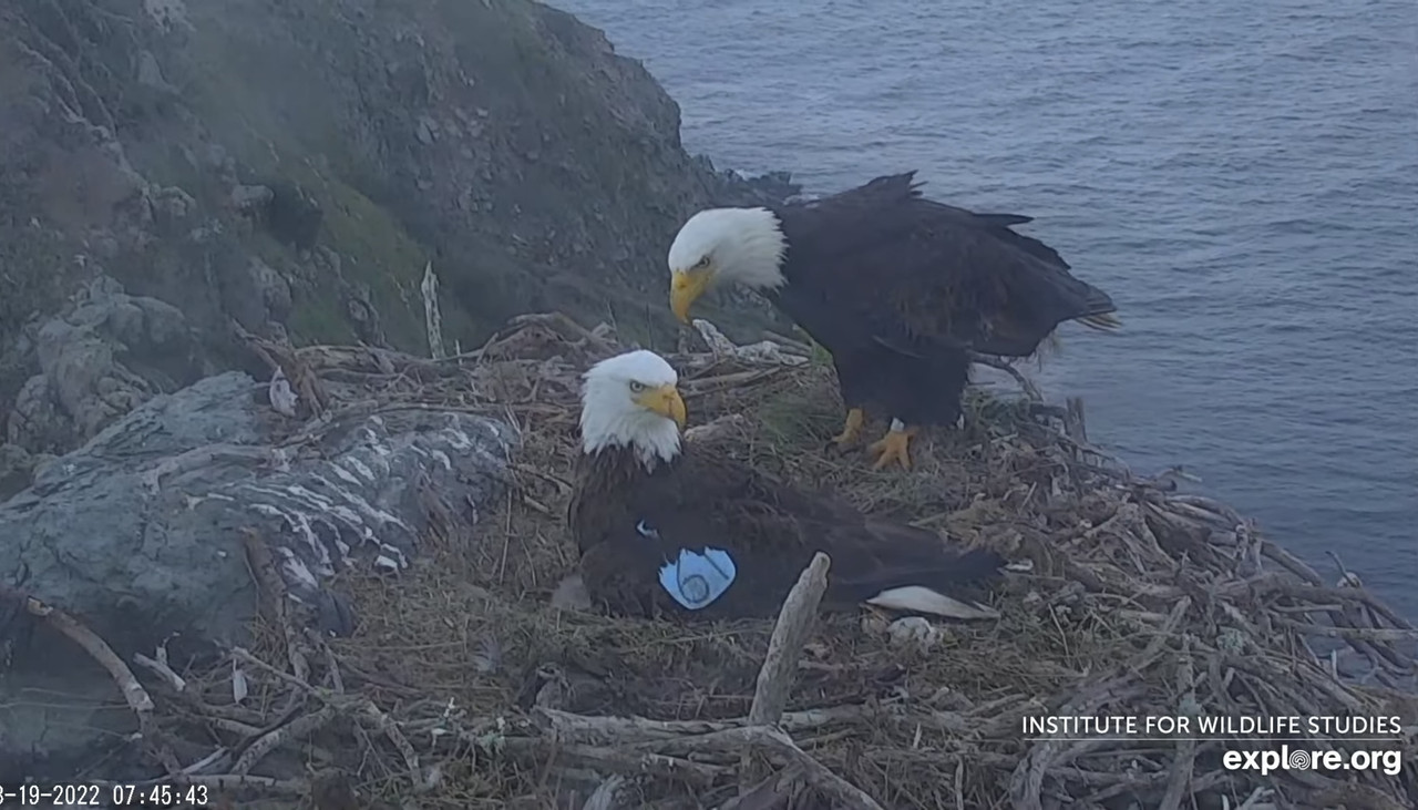 68C07521-5245-4CF5-A3DA-FD79C3B79BDC