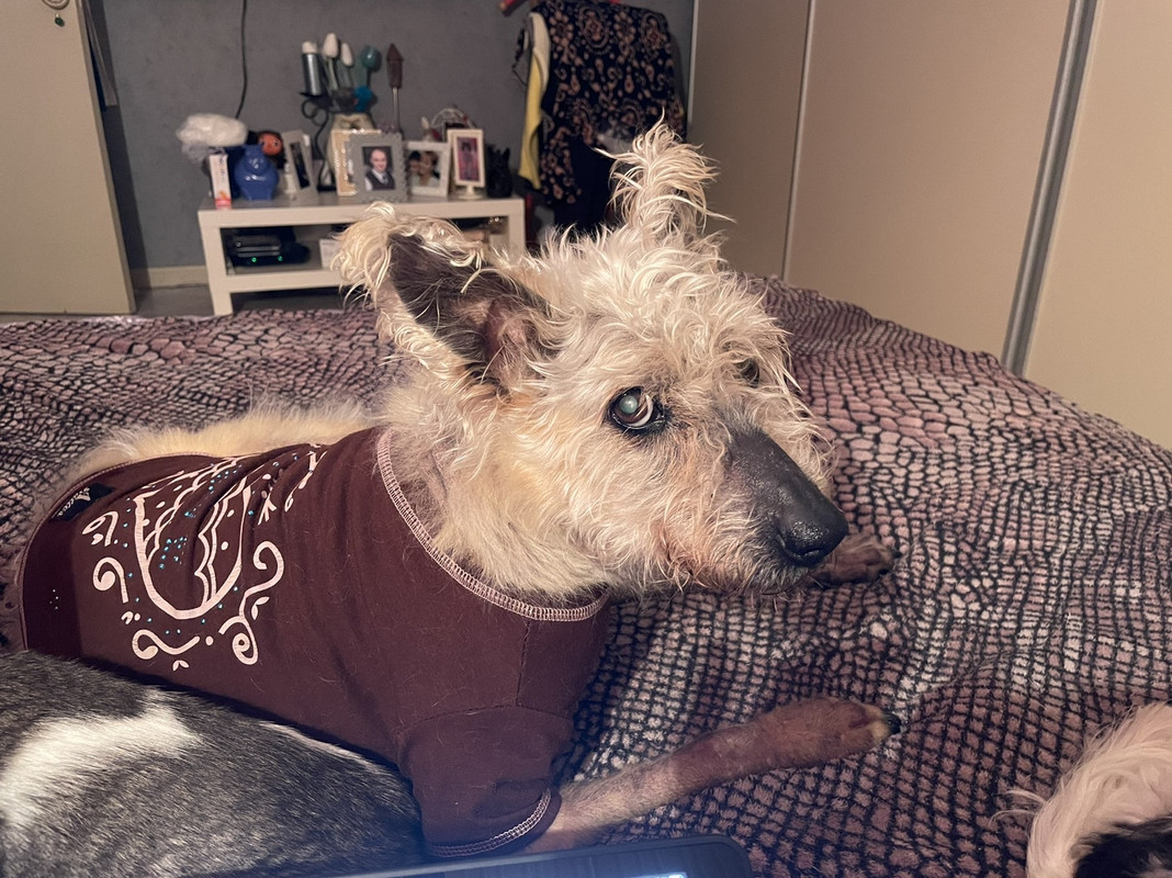 F2020E6A-E103-488D-973D-E67D703637D2