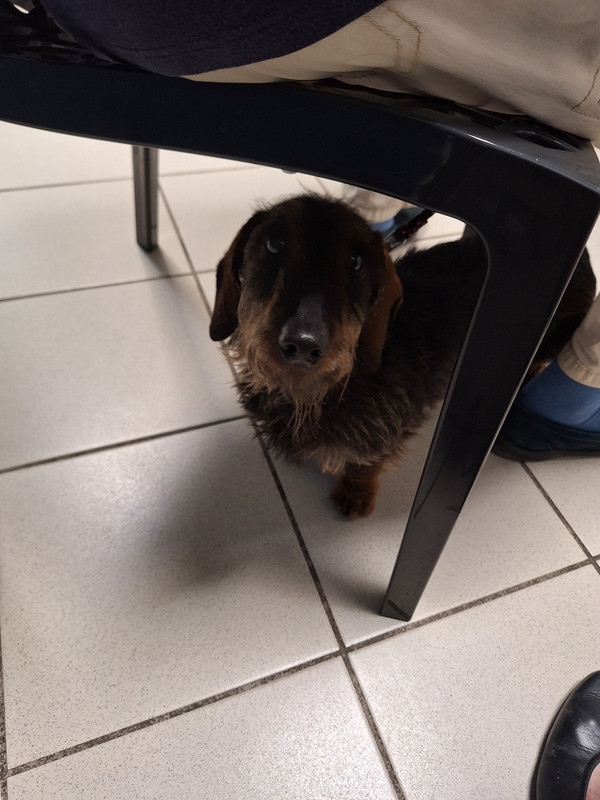 [Image: 20240406-173126.jpg]