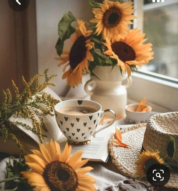 Screenshot_20230712_010142_Pinterest