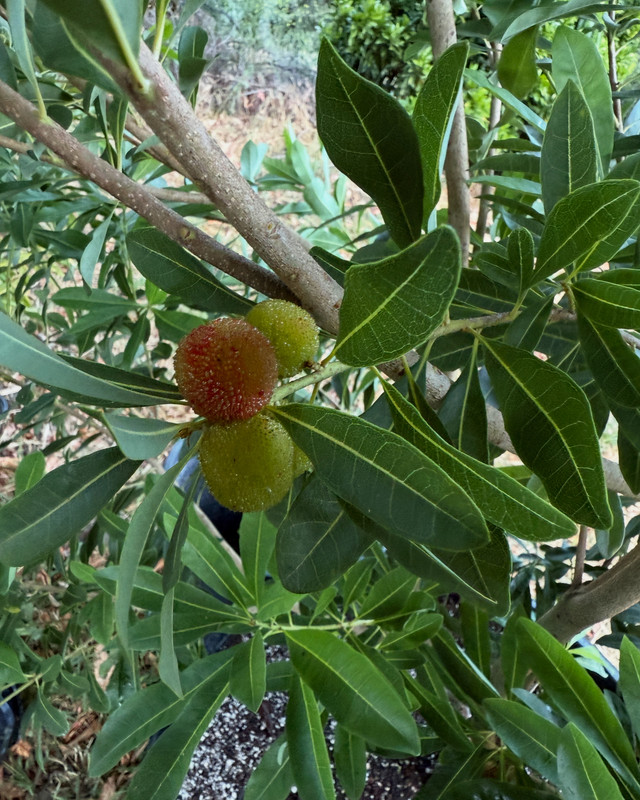 F64D79F7-60F4-499C-AC29-554D4D317642