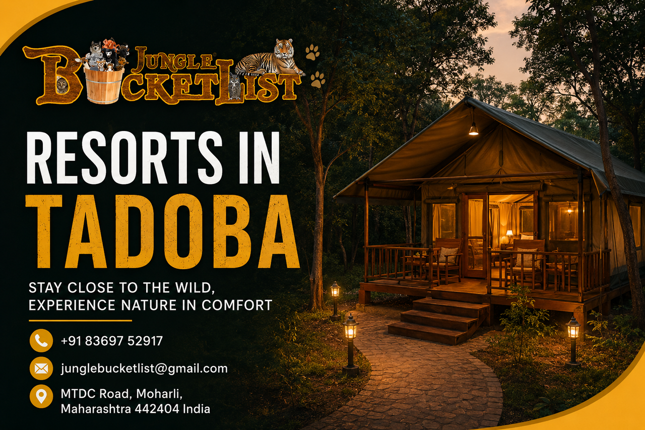 Best Resorts in Tadoba