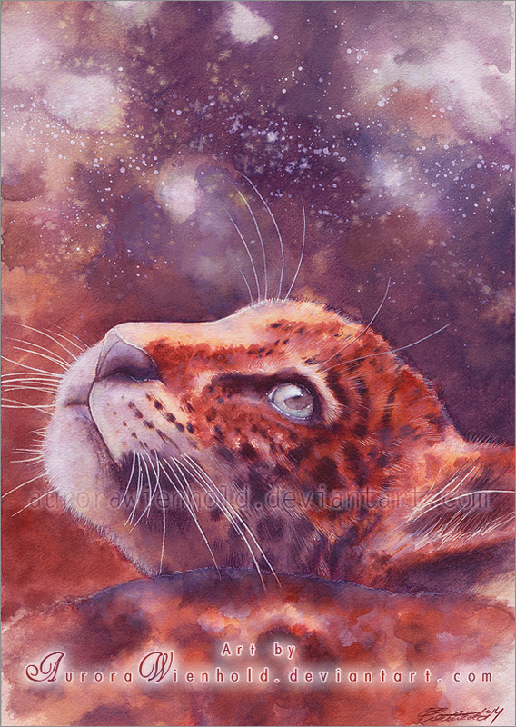 37-dreaming-light-by-aurorawienhold-d84h4g6