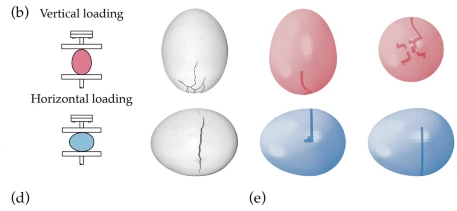 Eier-Falltest (Quelle: MIT)