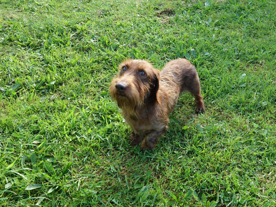 [Image: Od-on-1.jpg]