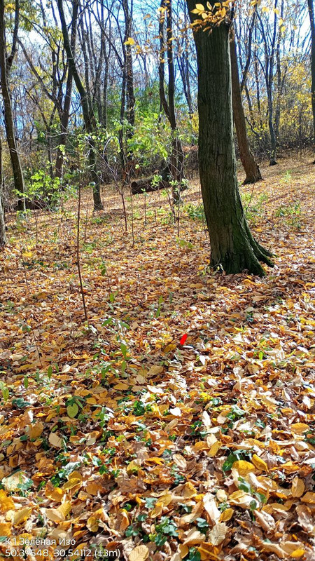 IMG 20251031 165809 471