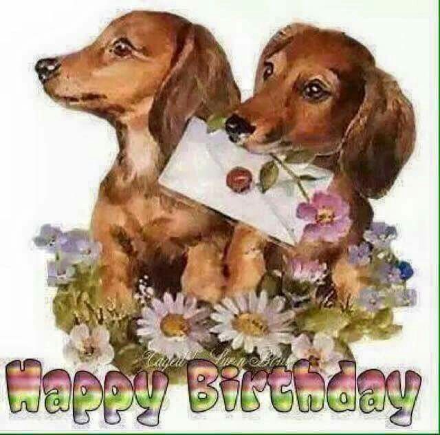 [Image: Anniversaire-teckel-40.jpg]