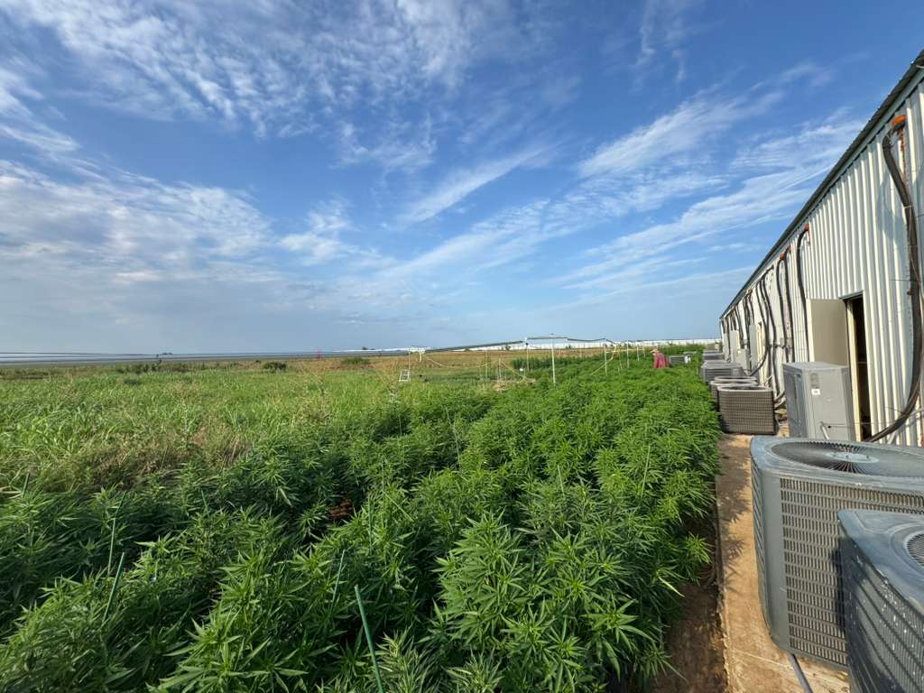 Nature Refined Story